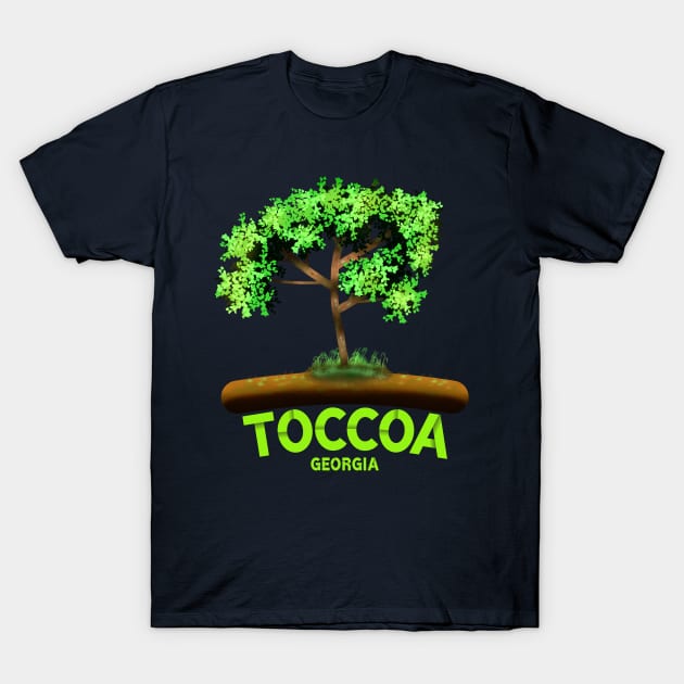 Toccoa Georgia T-Shirt by MoMido